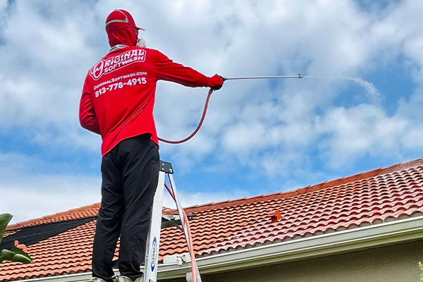 Roof Cleaning Company near me in Spring Hill FL 29